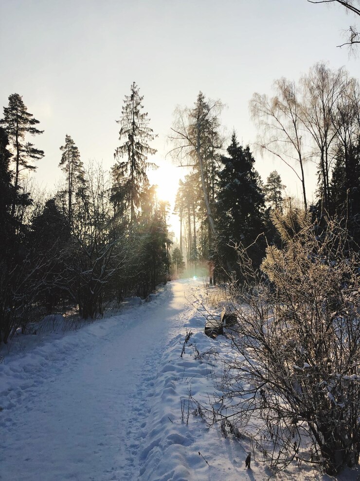 weisshoornsspa Programme